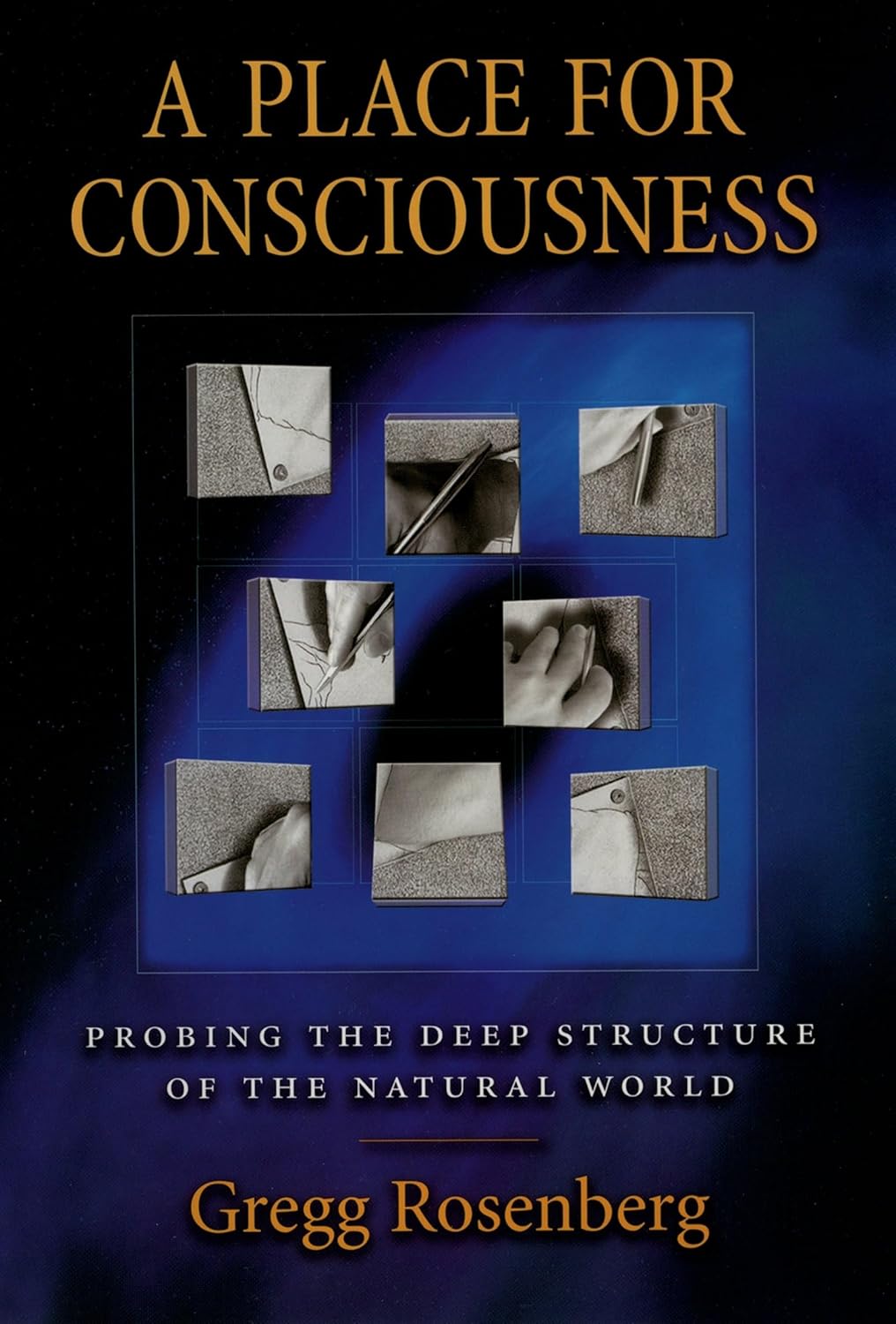 A Place for Consciousness by Gregg Rosenberg