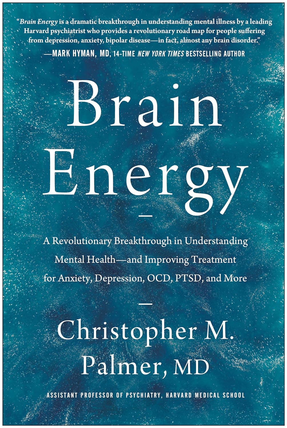 Brain Energy by Christopher M. Palmer MD