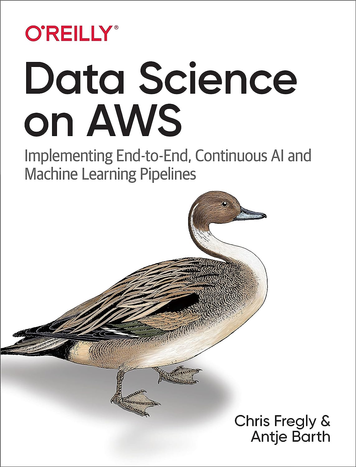 Data Science on AWS by Chris Fregly