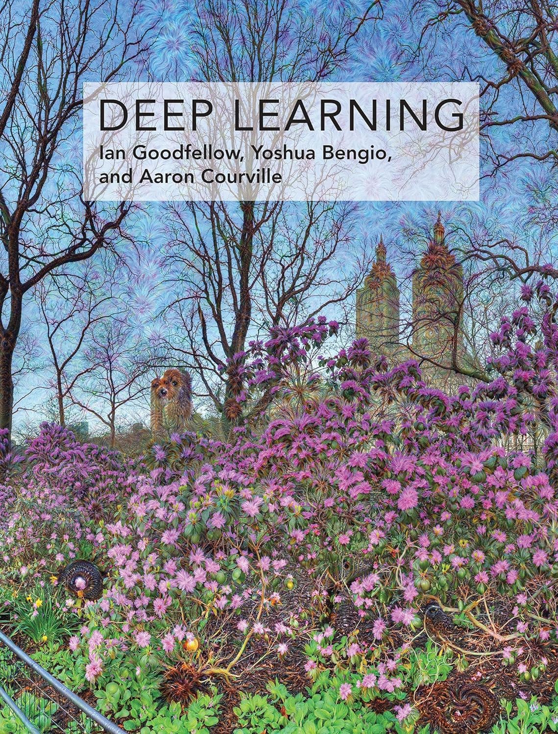 Deep Learning (Adaptive Computation and Machine Learning series) by Ian Goodfellow