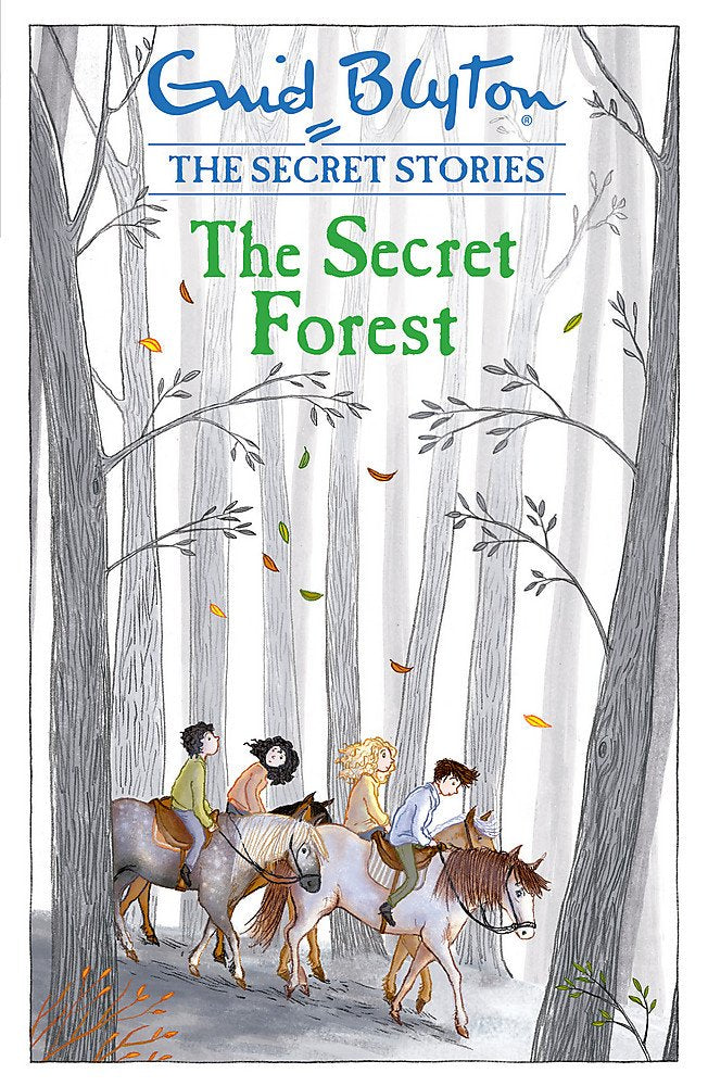 The Secret Forest by Enid Blyton - Bookshelf.pk Pakistan