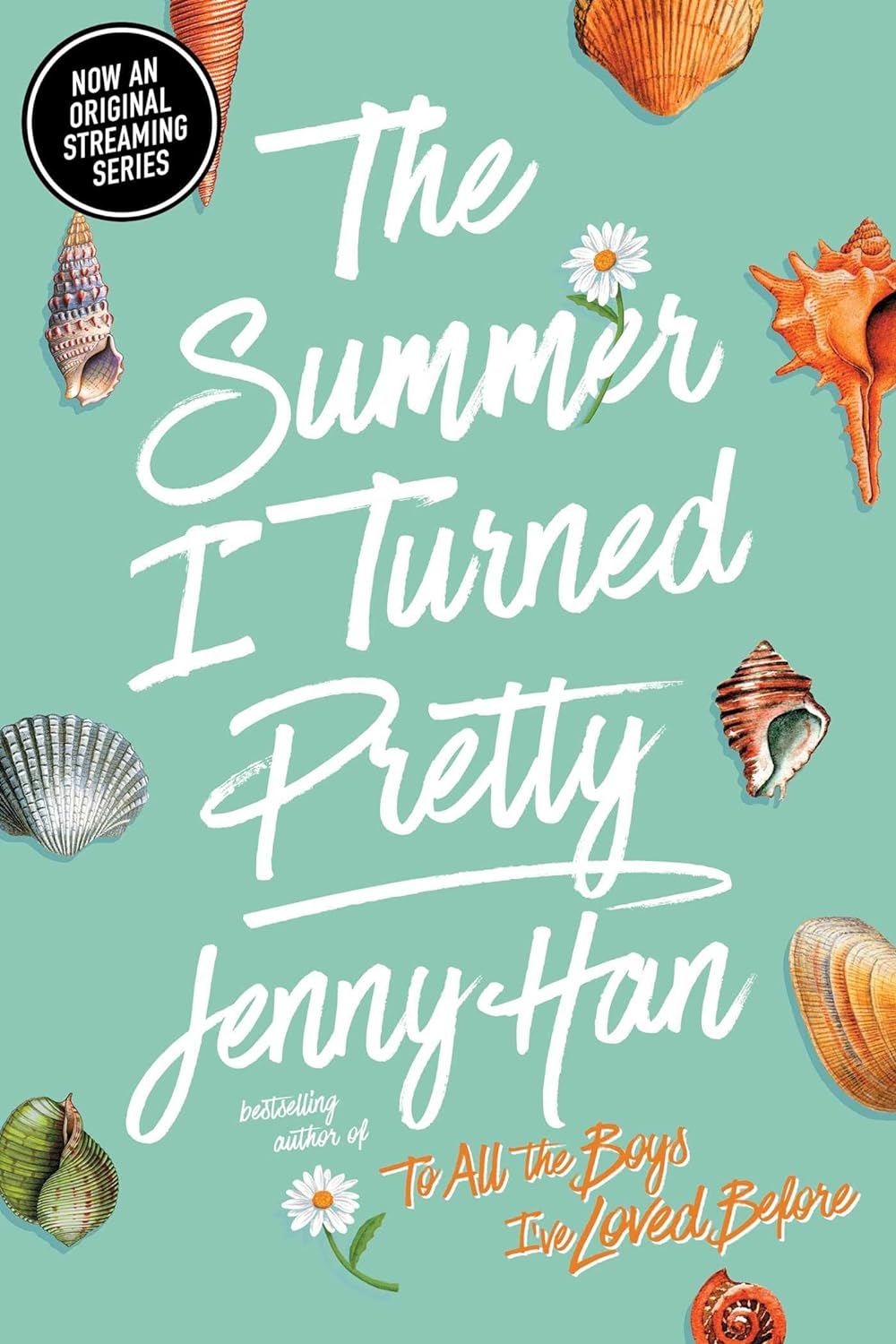 The Summer I Turned Pretty by Jenny Han - The Summer I Turned Pretty series